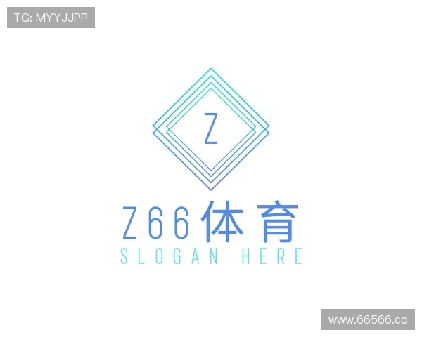 了解Z66体育